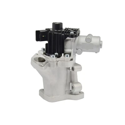 1 427 355 OEM standaard EGR-klep voor Peugeot Expert Diesel PIERBURG: 7.00578.12.0
