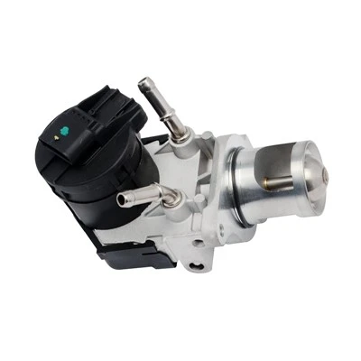 11717805447 Vervanging EGR-klep voor Twin Turbo Dieselmotoren WAHLER: 7103.27D